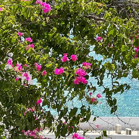 Irene's House Semesterbostad Piso Livadi