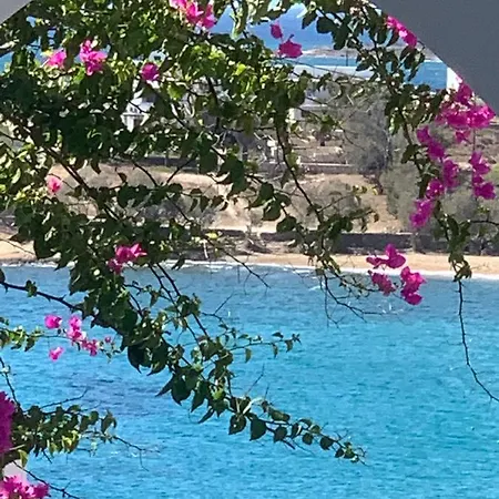 Semesterbostad Irene's House Piso Livadi