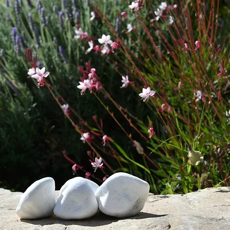 Irene's House Semesterbostad Piso Livadi