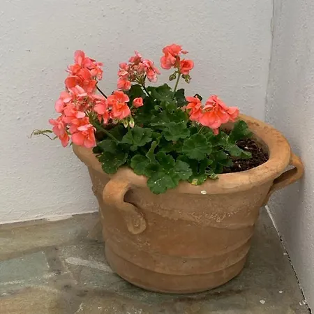 Irene's House * Piso Livadi