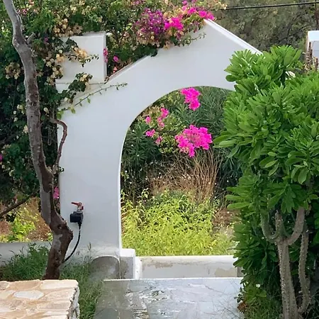 Irene's House