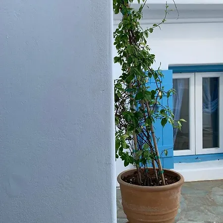 Irene's House * Piso Livadi