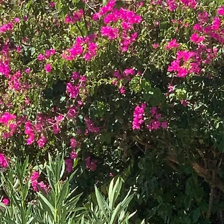 Holiday home Irene's House *