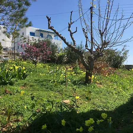 Irene's House Holiday home Piso Livadi